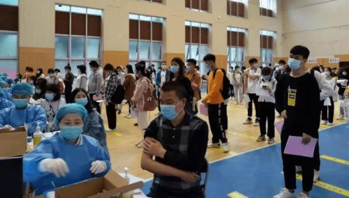 最新龙吟爆料消息视频,揭秘神秘龙族势力崛起之谜 第3张 最新龙吟爆料消息视频,揭秘神秘龙族势力崛起之谜 第3张