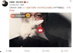 最新爆料大鲜肉视频播放,揭秘幕后真相与惊人播放量 第2张 最新爆料大鲜肉视频播放,揭秘幕后真相与惊人播放量 第2张