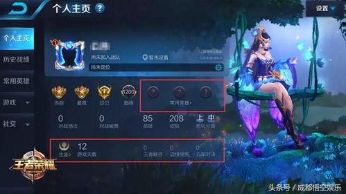 王者新典藏爆料最新版,神秘英雄登场,全新皮肤盛宴即将开启! 第3张 王者新典藏爆料最新版,神秘英雄登场,全新皮肤盛宴即将开启! 第3张